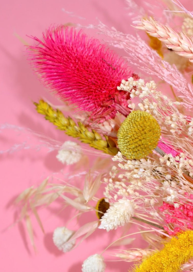 Dried Pink